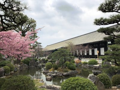 ３月２１日（土）臨時休業のお知らせ