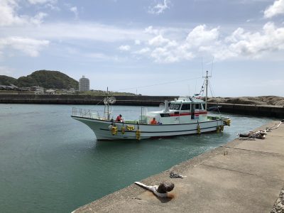 連休明け　通常営業再開