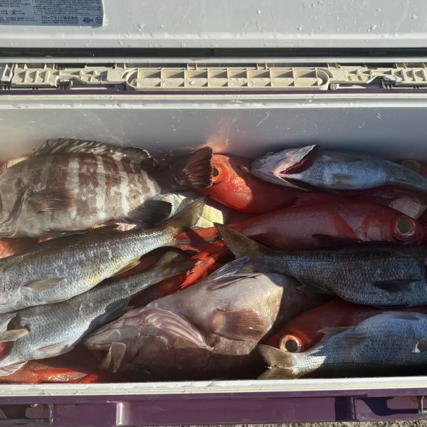 2026年 初釣果報告